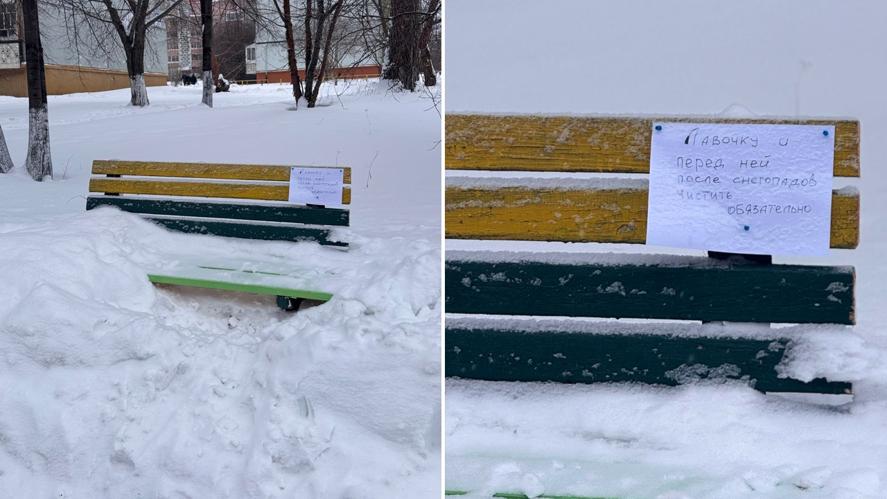 Герой из Снежинска: школьника с лопатой обсуждают жители Челябинской области Герой из Снежинска: школьника с лопатой обсуждают жители Челябинской области