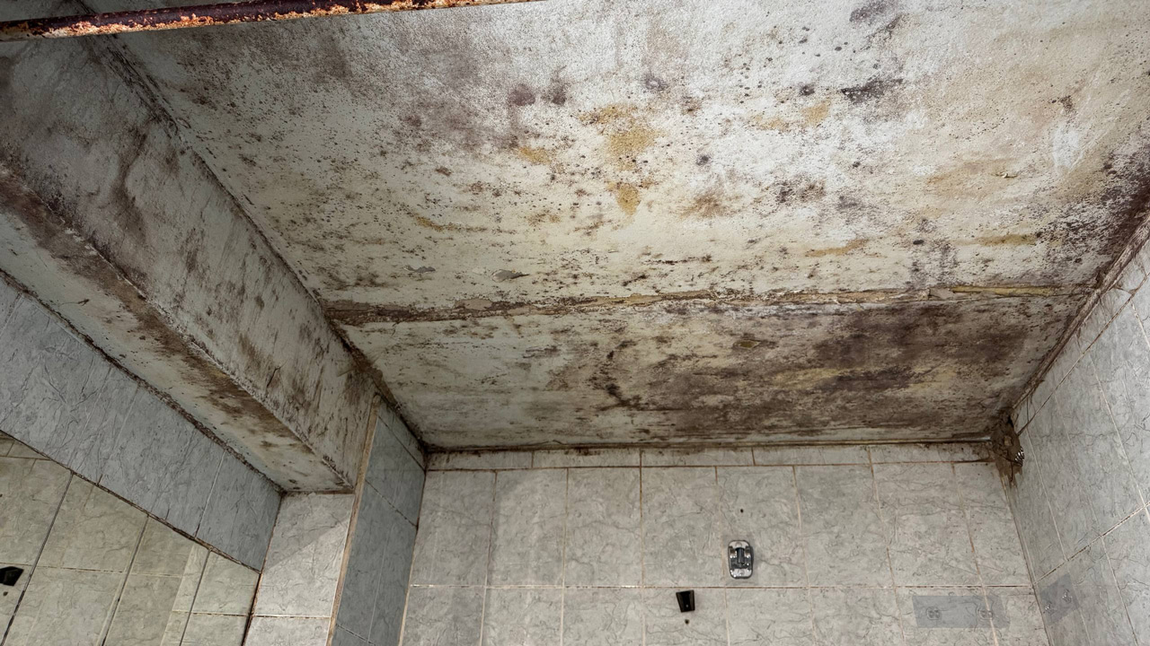 Декорации к фильму ужасов: репортаж из дома в Челябинске с ледяными батареями и плесенью