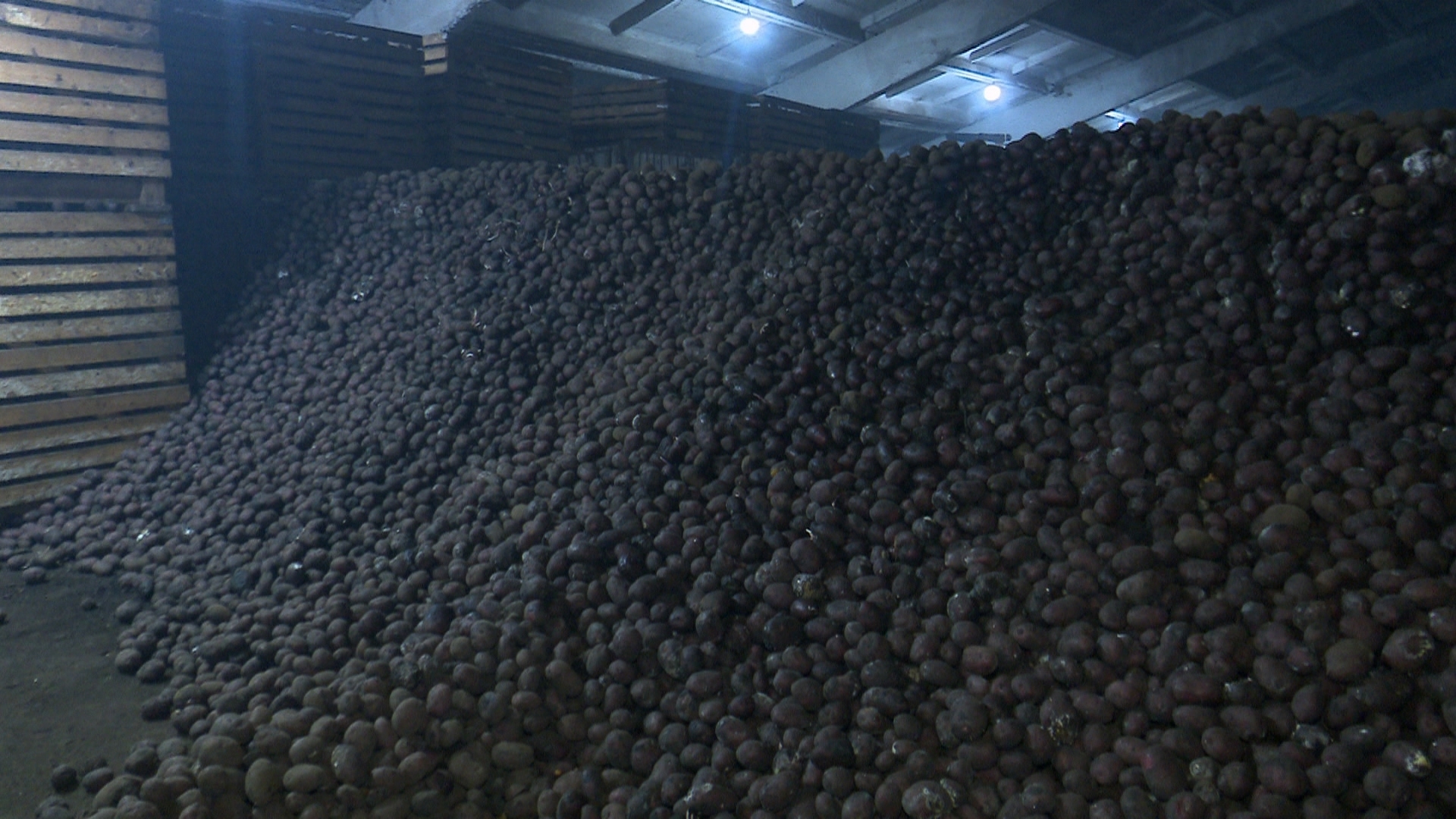 Президент отметил медалью фермера из южноуральской глубинки