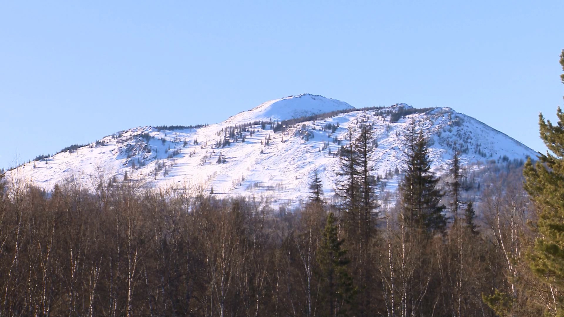 Инспектор нацпарка в Челябинской области рассказал, как лосиха спасла ему жизнь Инспектор нацпарка в Челябинской области рассказал, как лосиха спасла ему жизнь