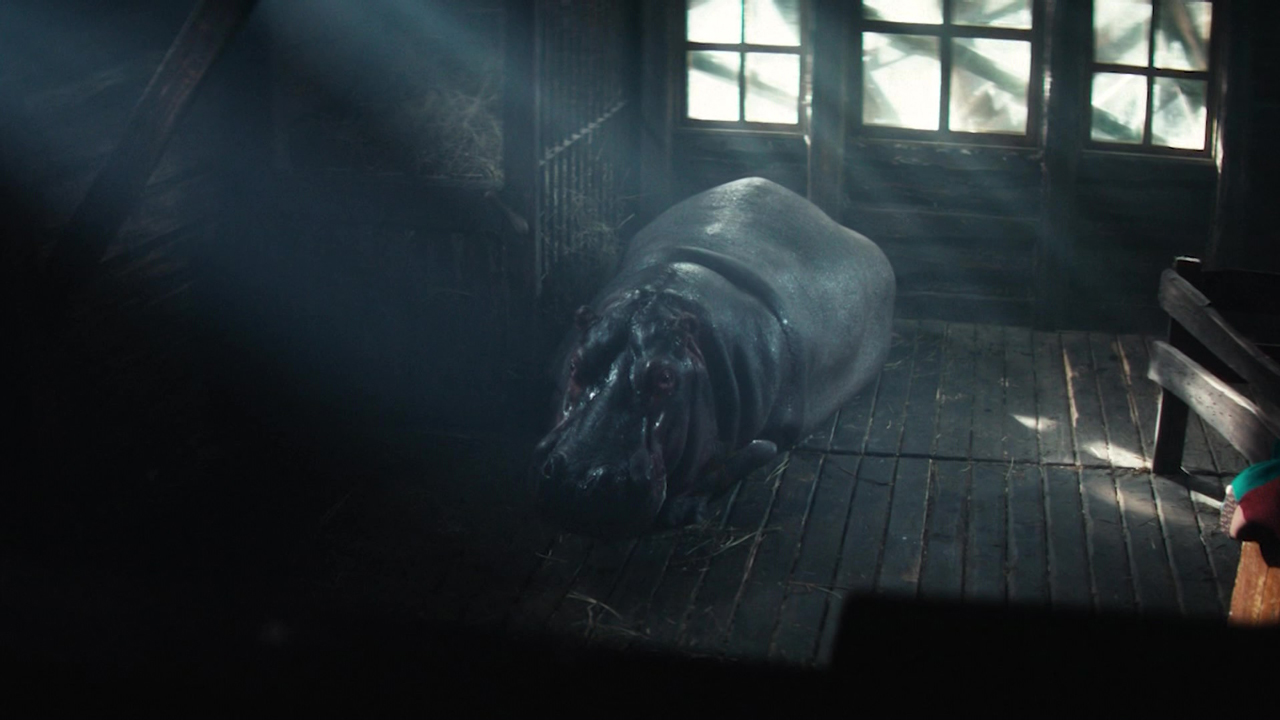 Челябинцы могут увидеть фильм "Красавица" о спасении животных в блокадном Ленинграде