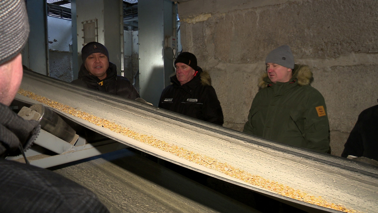 Южноуральский совхоз запустил новую линию для просушки и хранения подсолнечника