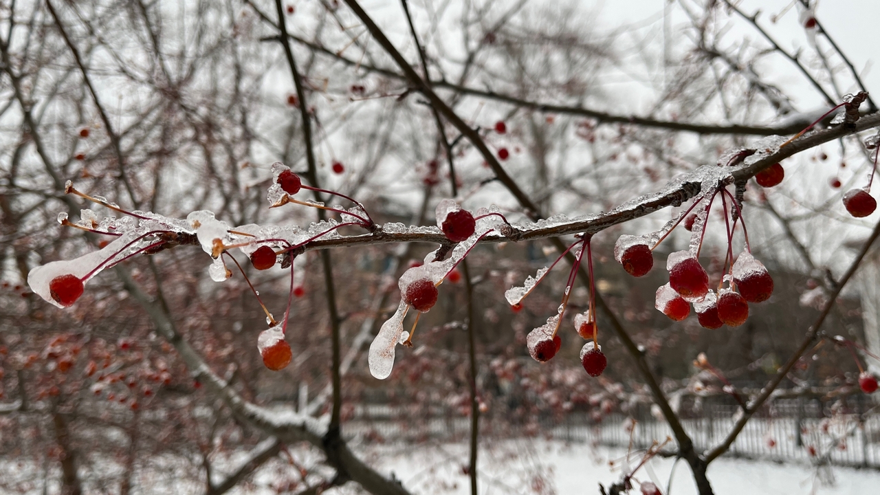 Синоптики рассказали о погоде в марте в Челябинской области Синоптики рассказали о погоде в марте в Челябинской области