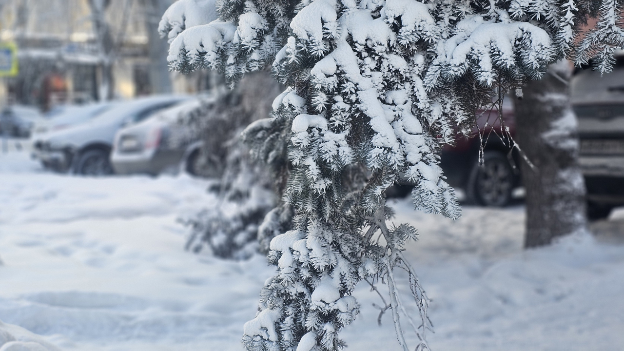 Похолодание придет в Челябинскую область: прогноз погоды на неделю
