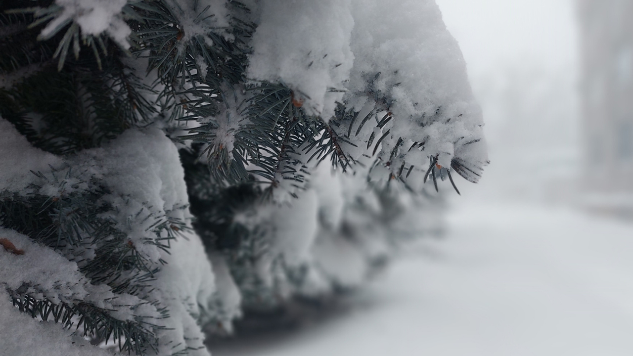 Морозы вернулись: синоптики рассказали о погоде в Челябинской области 5 февраля
