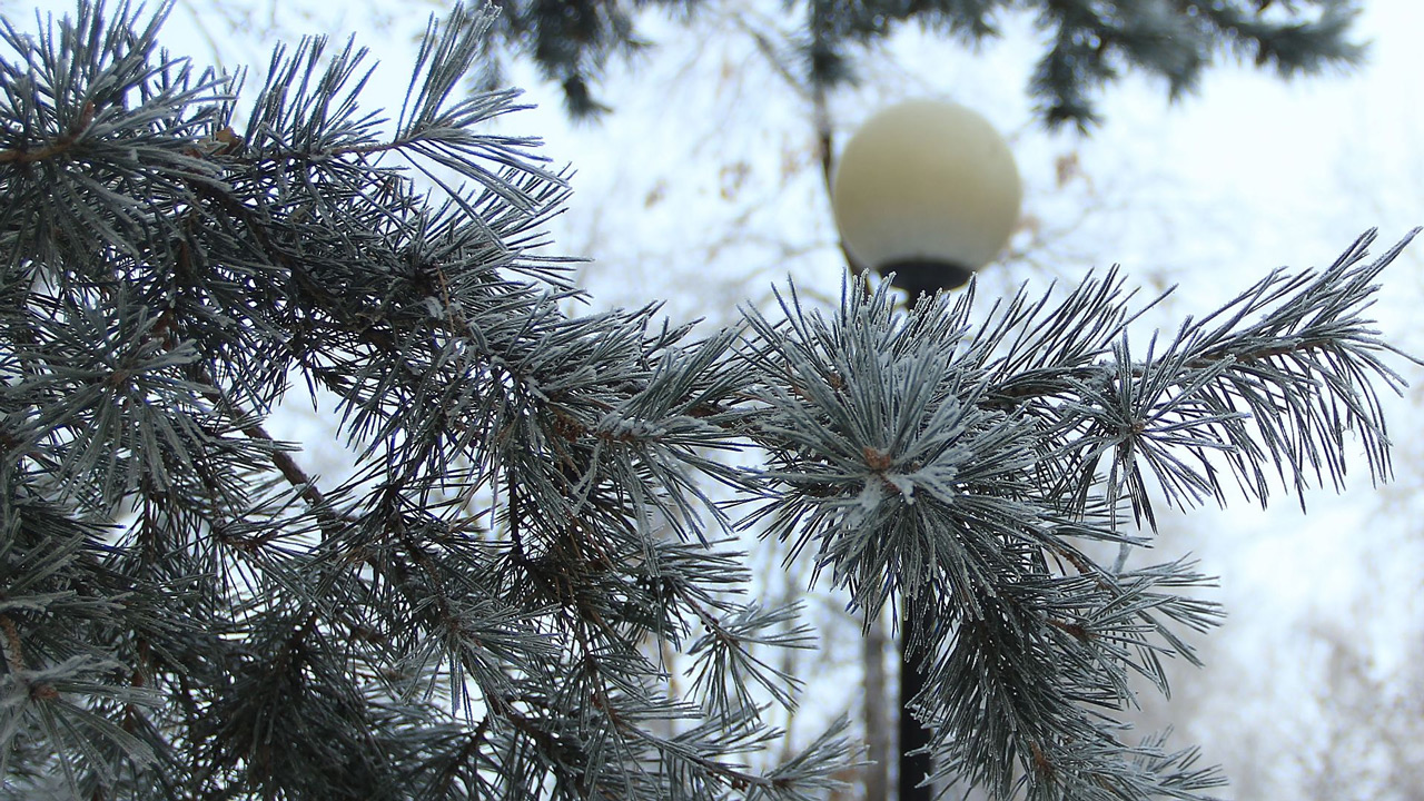 Снова до -27°C: Челябинскую область ждет похолодание