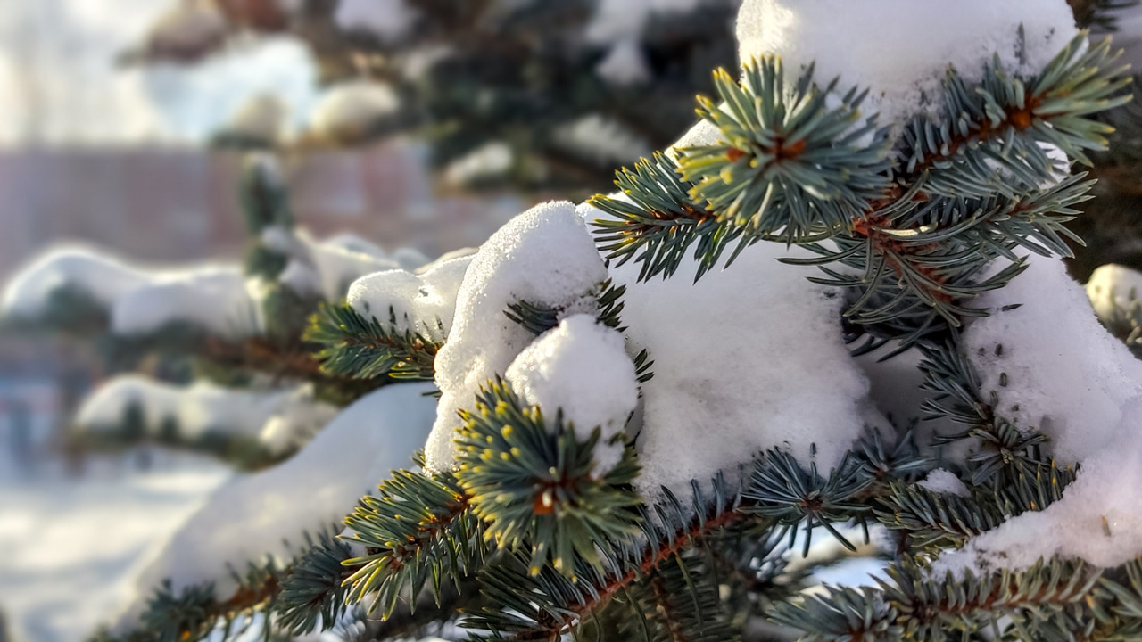 Погода изменится: синоптики дали прогноз до конца недели в Челябинской области