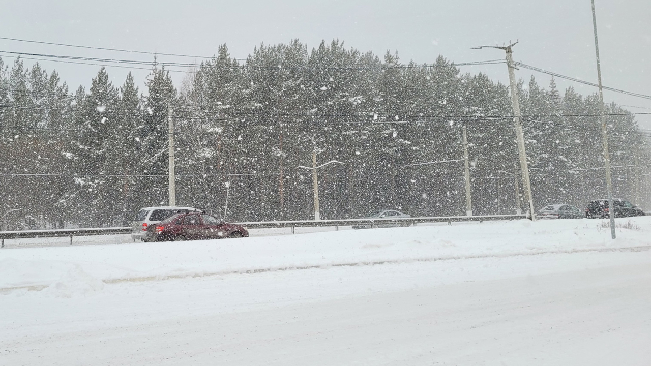 МЧС опубликовало предупреждение о снегопаде и метелях в Челябинской области МЧС опубликовало предупреждение о снегопаде и метелях в Челябинской области