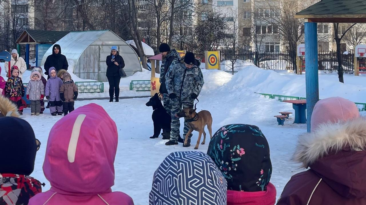 Кинологи привели служебных собак в один из детских садов Челябинска