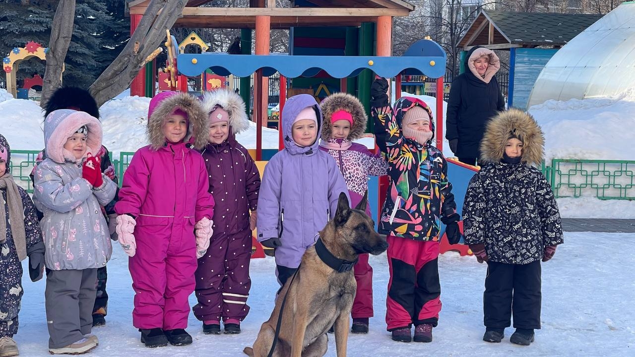 Кинологи привели служебных собак в один из детских садов Челябинска Кинологи привели служебных собак в один из детских садов Челябинска