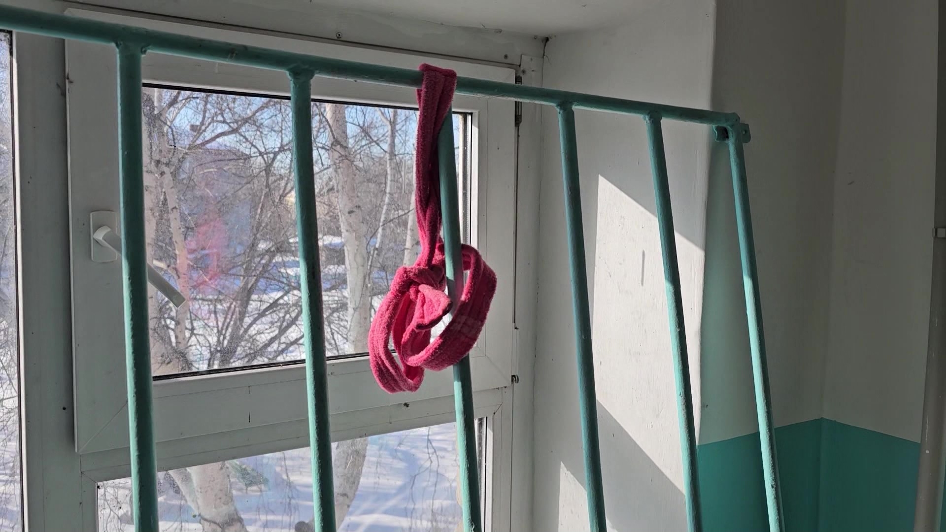 Исписывает двери, портит машину и распускает руки: что не поделили соседки