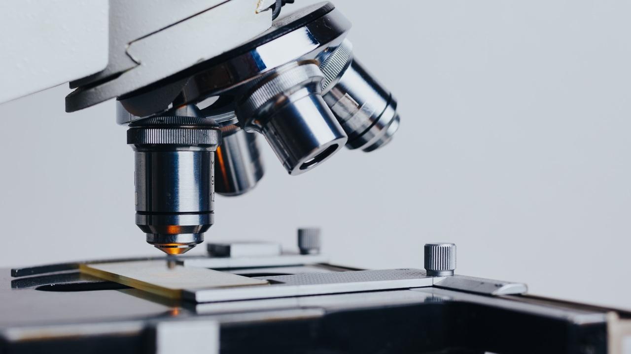 Наследие предков и современные технологии: разработки ученых из Челябинской области