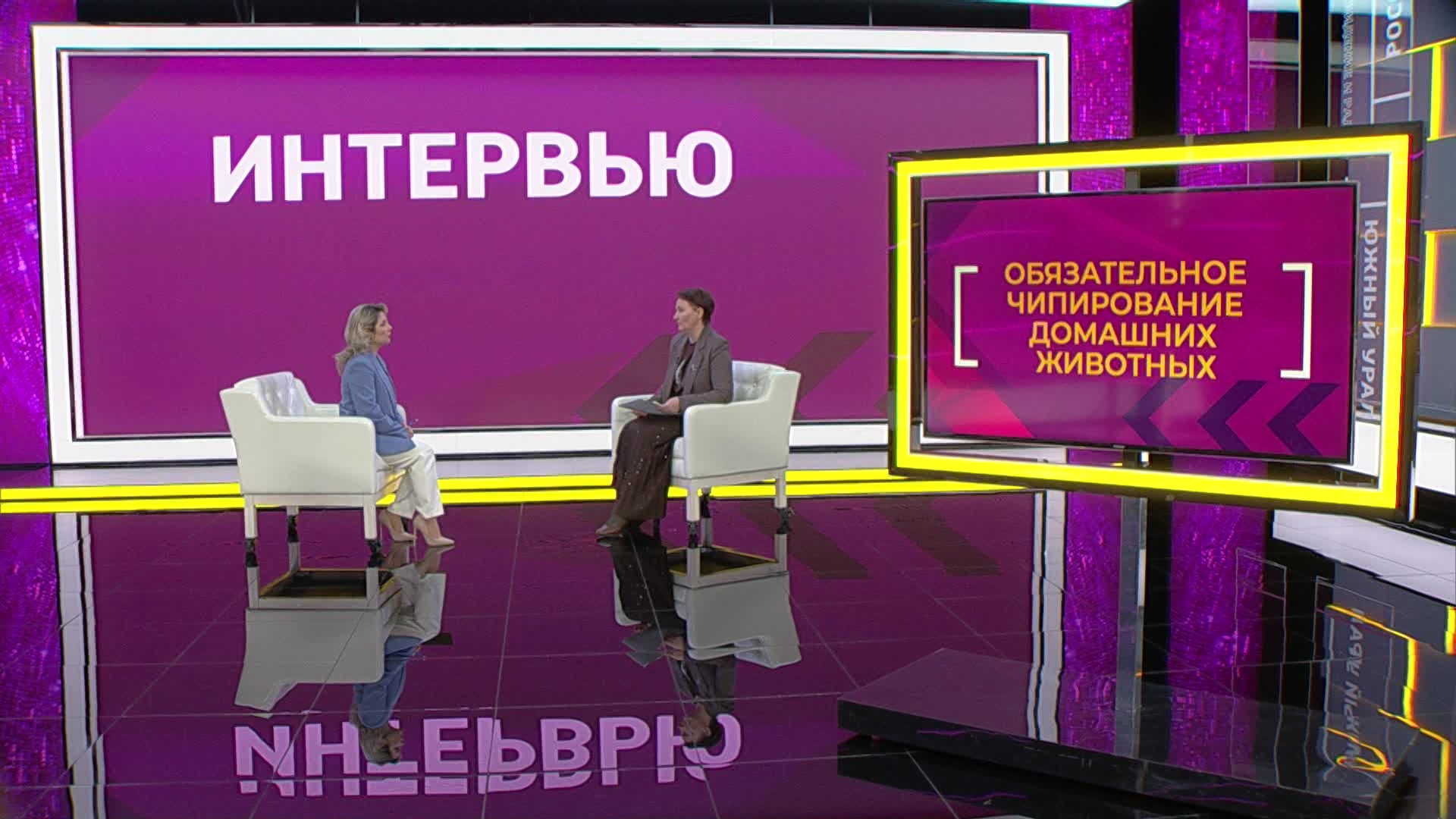 Чипирование собак в Челябинске: эксперт рассказал об ответственности хозяев питомцев Чипирование собак в Челябинске: эксперт рассказал об ответственности хозяев питомцев