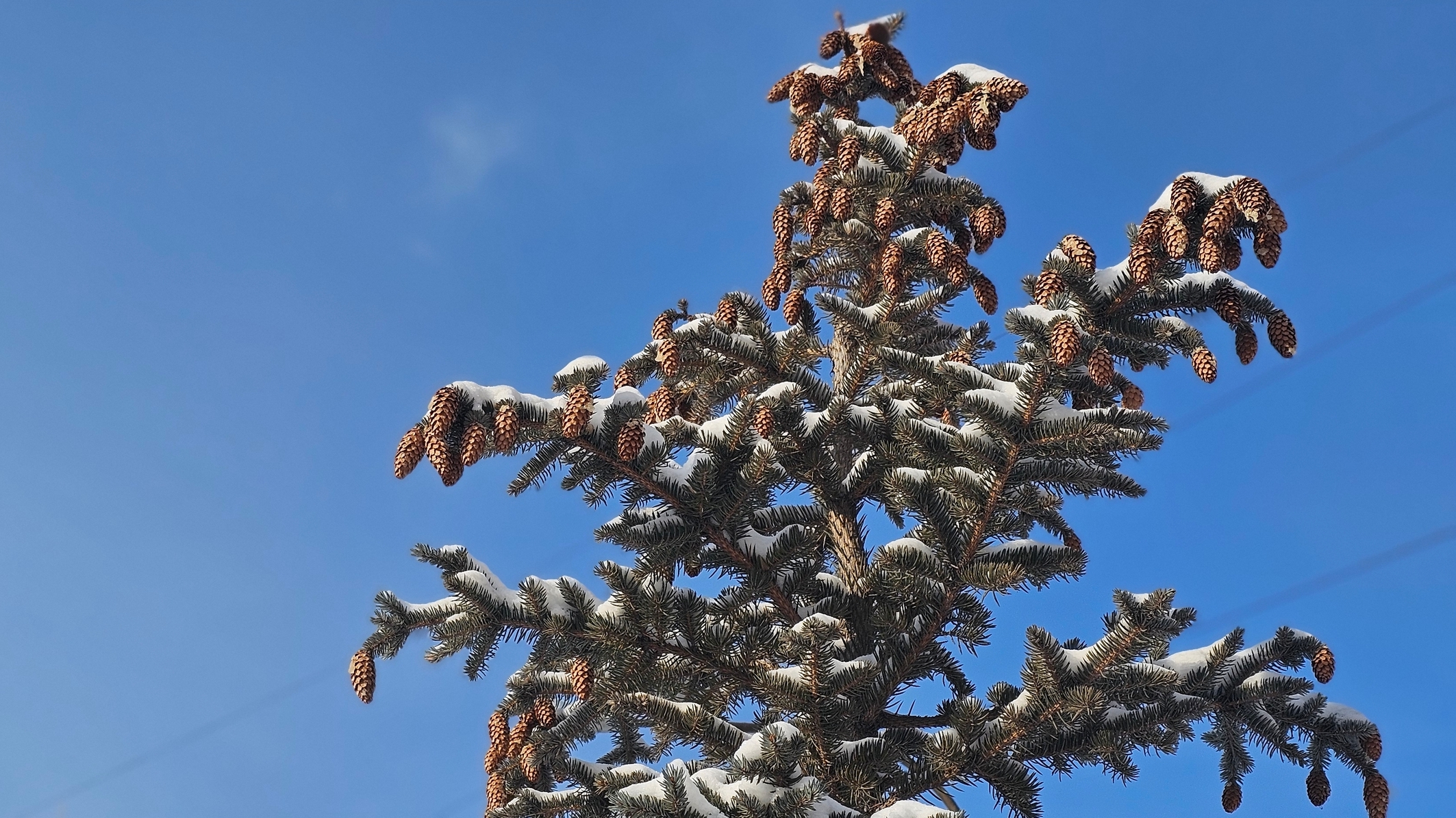 К выходным похолодает: о погоде в Челябинске рассказал синоптик Евгений Тишковец К выходным похолодает: о погоде в Челябинске рассказал синоптик Евгений Тишковец