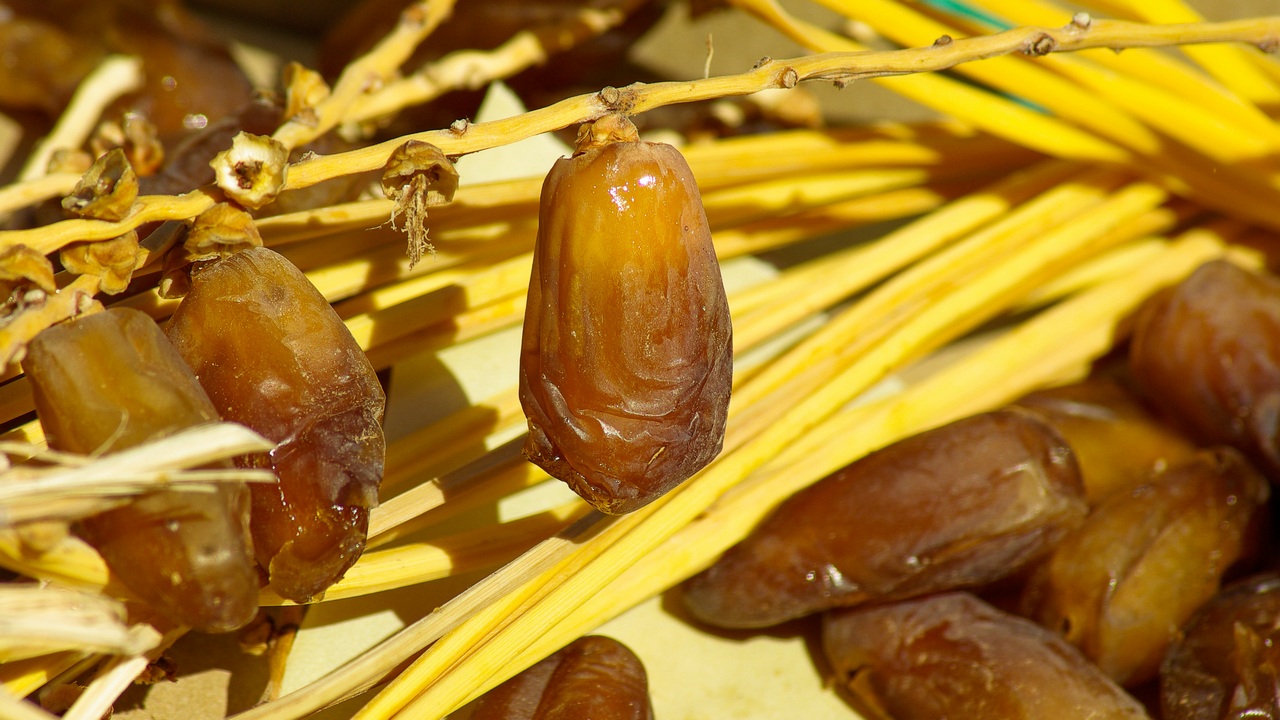 Десятки тонн подозрительных фиников пытались ввезти в Челябинскую область Десятки тонн подозрительных фиников пытались ввезти в Челябинскую область