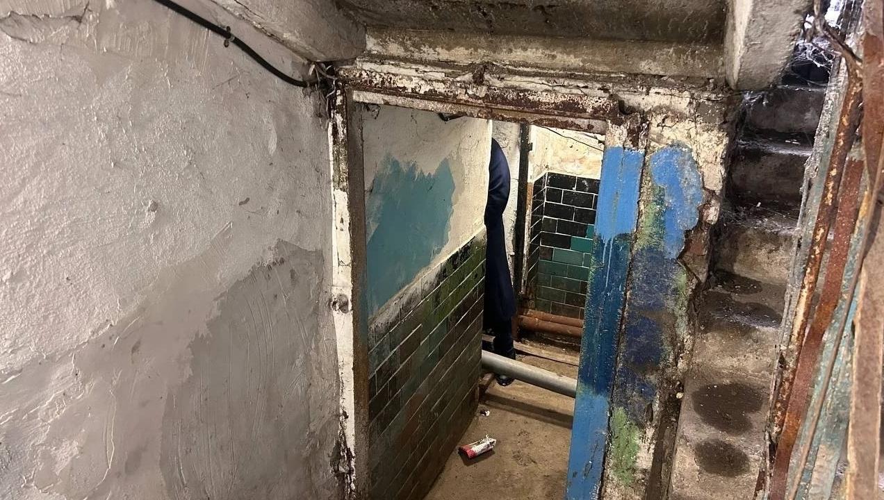 Семья в Челябинске судится с управляющей компанией из-за плесени в квартире