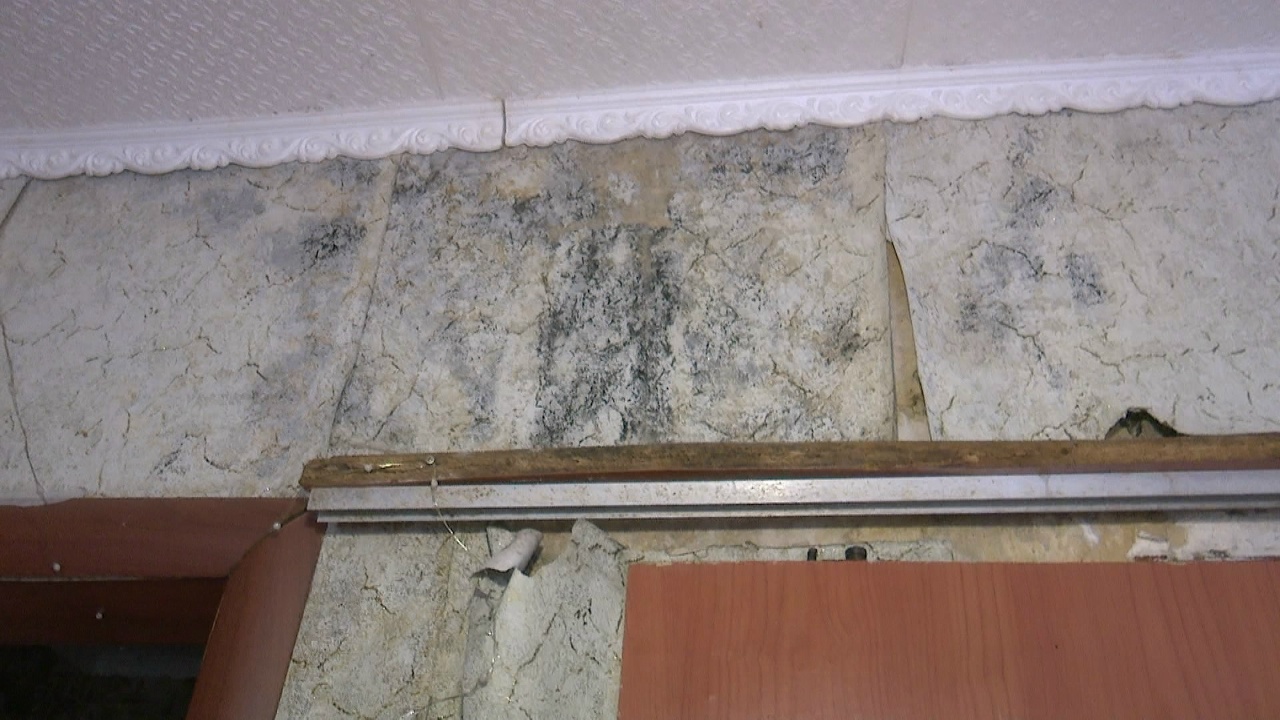 Семья в Челябинске судится с управляющей компанией из-за плесени в квартире