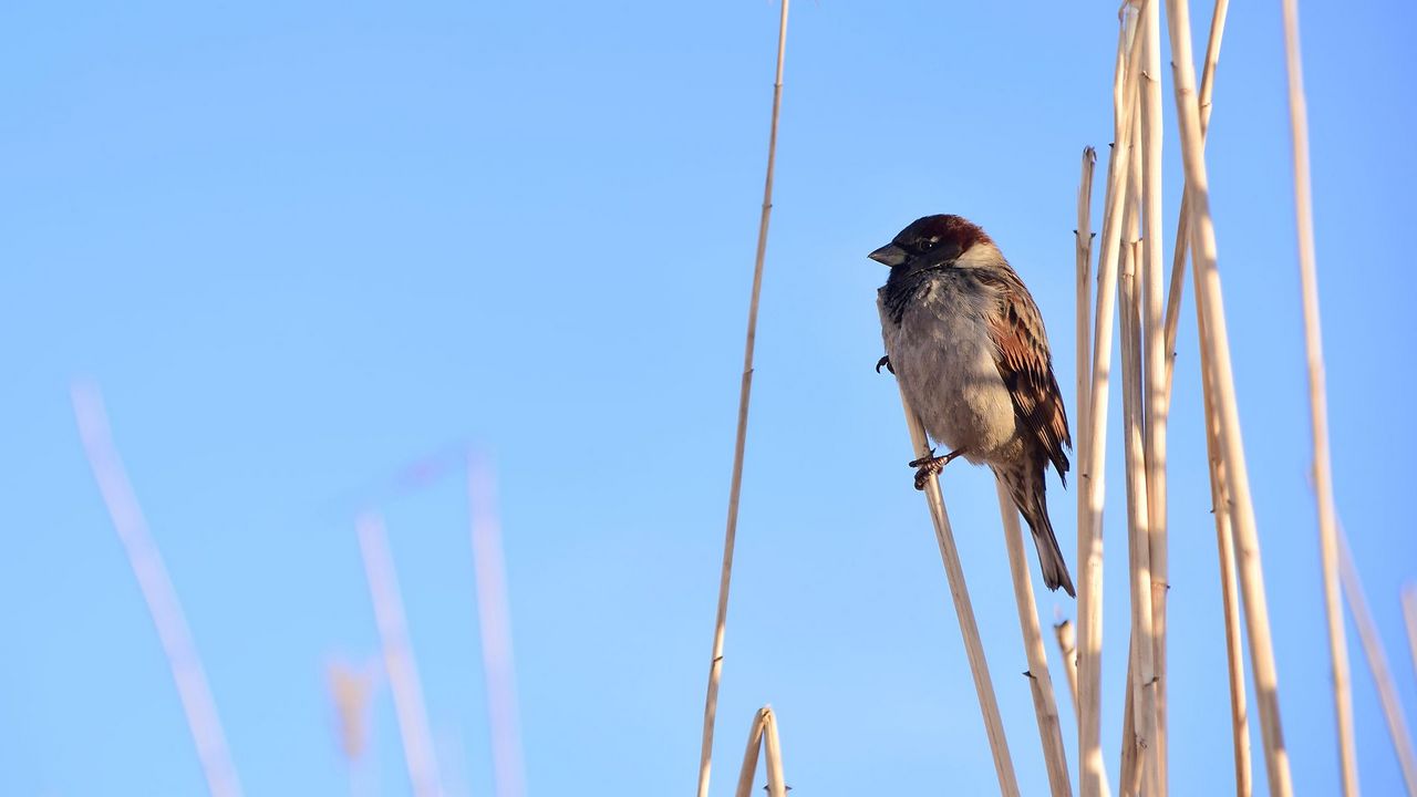 Новая волна тепла накроет Челябинск после похолодания Новая волна тепла накроет Челябинск после похолодания