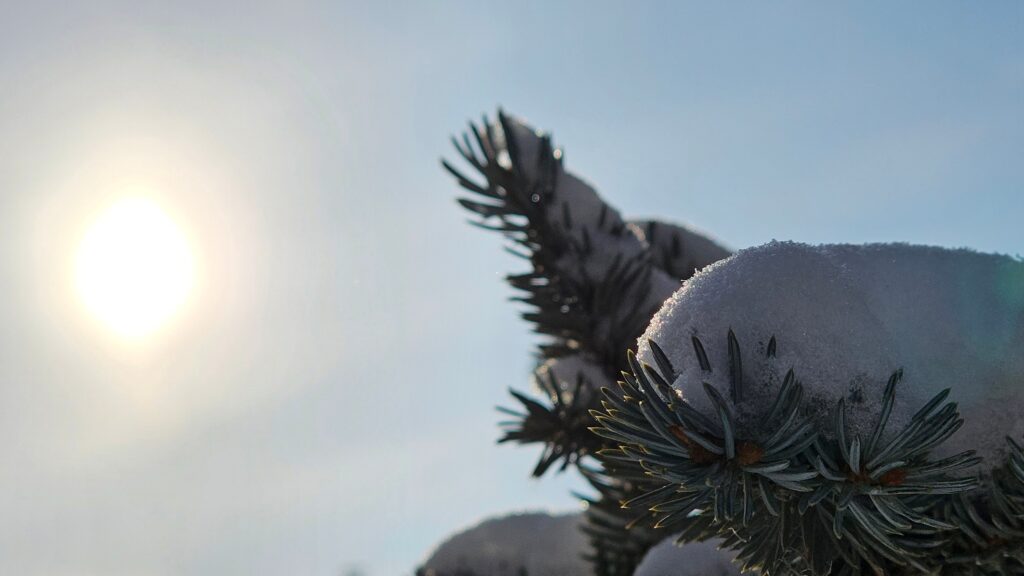 Снег и магнитная буря: синоптик Тишковец рассказал о погоде в Челябинской области