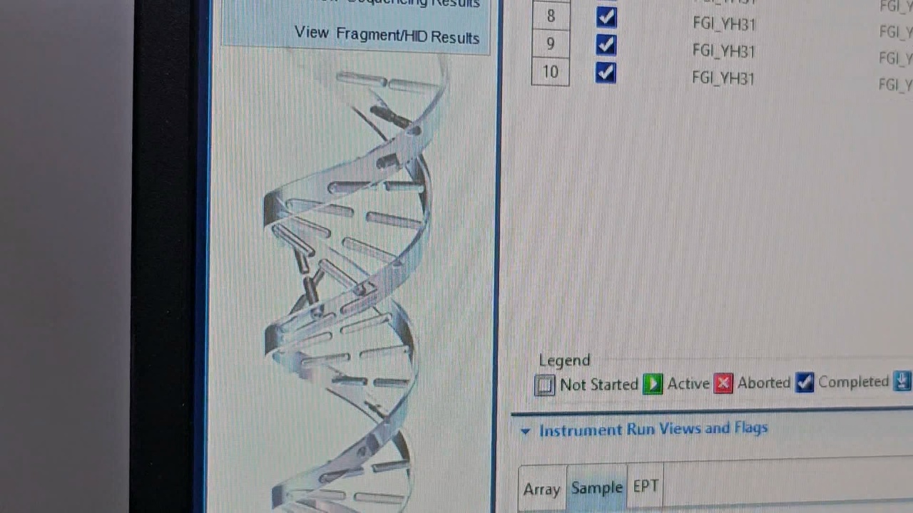 Криминалист из Магнитогорска рассказала, как насильника нашли по генотипу спустя 7 лет