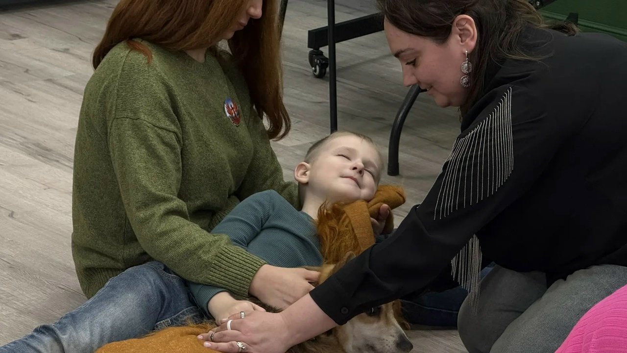 Хвостатые психологи: в Челябинске собаки помогают детям участников СВО Хвостатые психологи: в Челябинске собаки помогают детям участников СВО