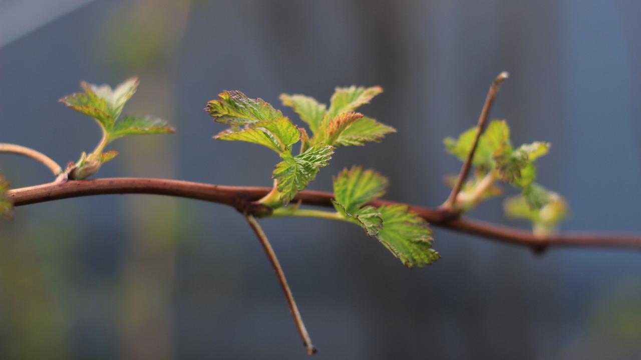 Весеннее равноденствие: лучший день, чтобы привлечь удачу в 2026 году Весеннее равноденствие: лучший день, чтобы привлечь удачу в 2026 году