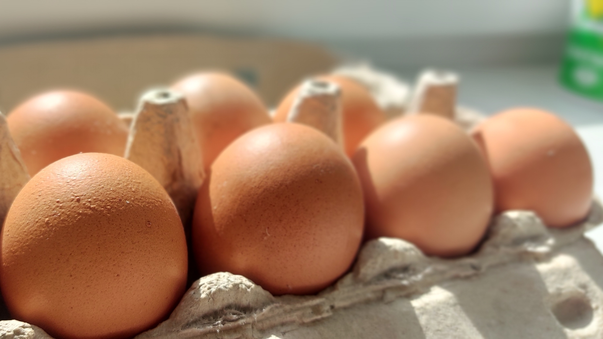 ИИ для сортировки яиц и раздачи корма животным тестируют в Челябинской области ИИ для сортировки яиц и раздачи корма животным тестируют в Челябинской области