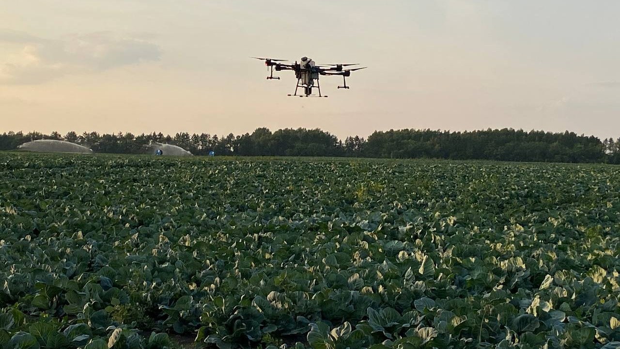Площадь обработки полей агродронами увеличат в Челябинской области Площадь обработки полей агродронами увеличат в Челябинской области