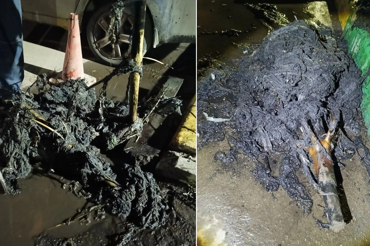 В Копейске выбросили новогоднюю елку в канализацию В Копейске выбросили новогоднюю елку в канализацию