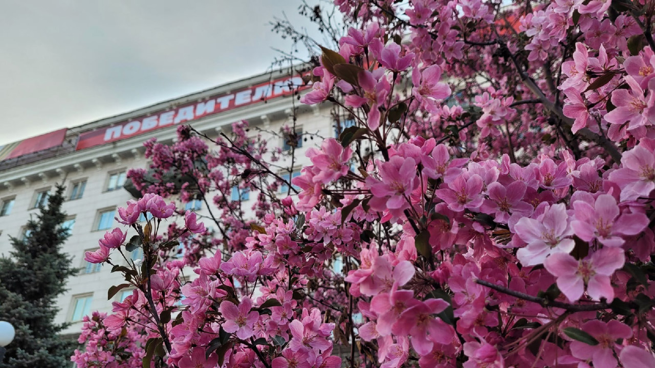 Майские праздники 2026: как будут отдыхать и работать жители Челябинска Майские праздники 2026: как будут отдыхать и работать жители Челябинска