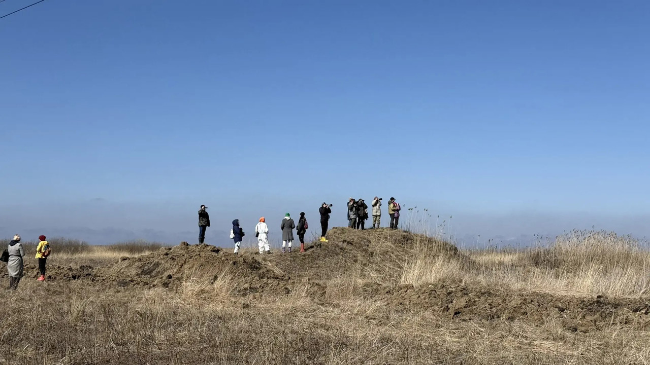 Парящие в небесах: кто и как наблюдает за птицами в Челябинской области