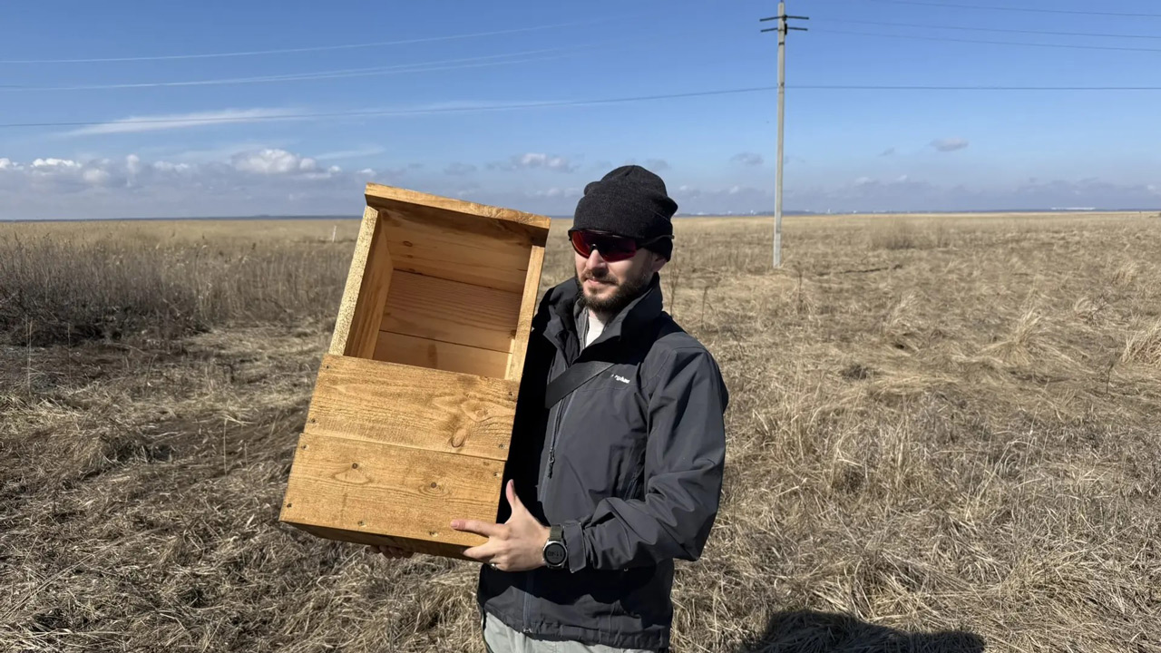 Парящие в небесах: кто и как наблюдает за птицами в Челябинской области