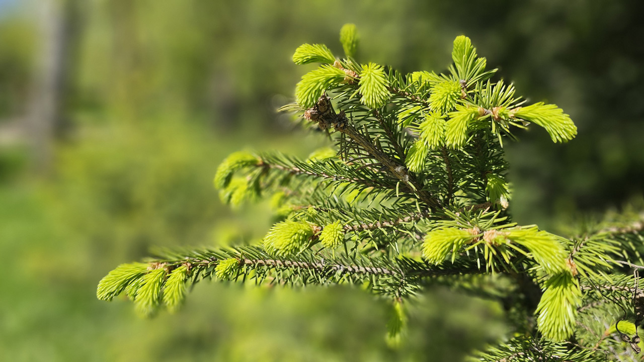 В Челябинской области в выходные потеплеет до +22°C и ожидаются грозы
