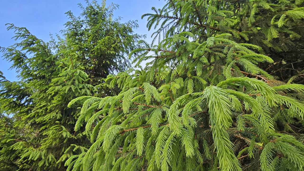 Тепло и магнитная буря: что ждет жителей Челябинской области в выходные