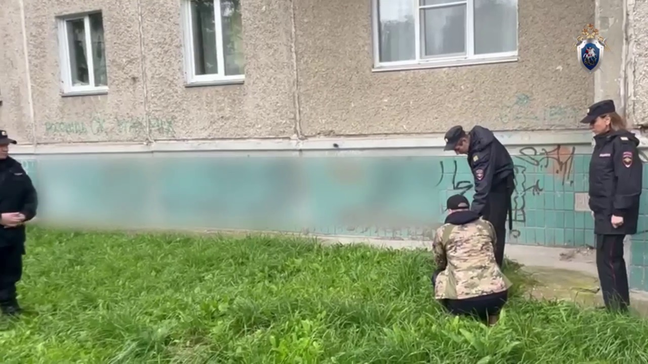 В Челябинске будут судить мужчину, который выбросил жену с 9 этажа
