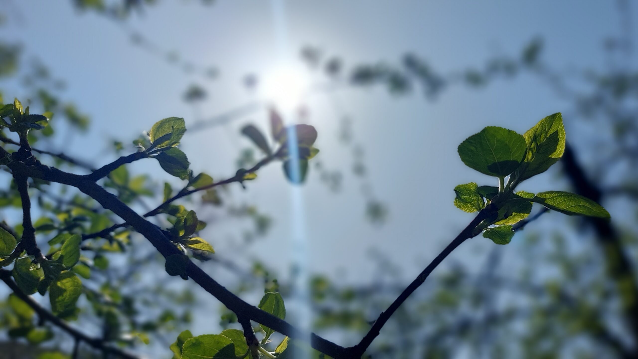 Высокая пожарная опасность: погода в Челябинске – прогнозы и предупреждения