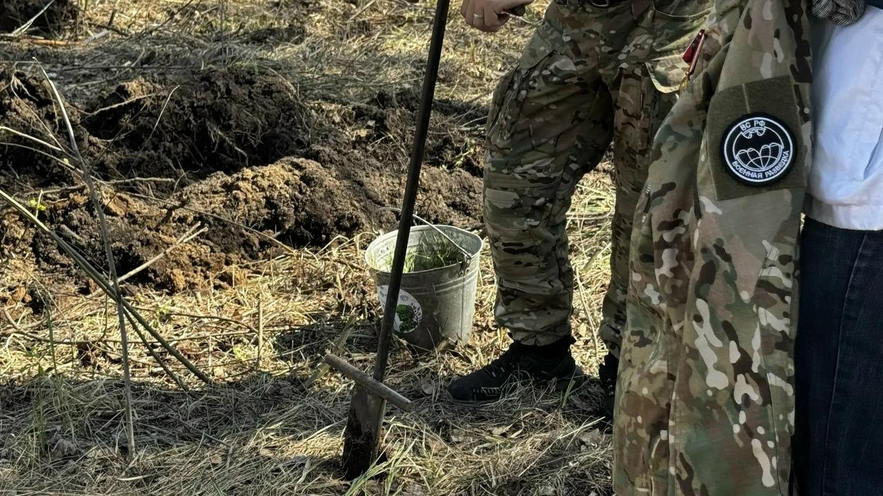 Южноуральцы высаживают деревья в честь героев Великой Отечественной войны Южноуральцы высаживают деревья в честь героев Великой Отечественной войны