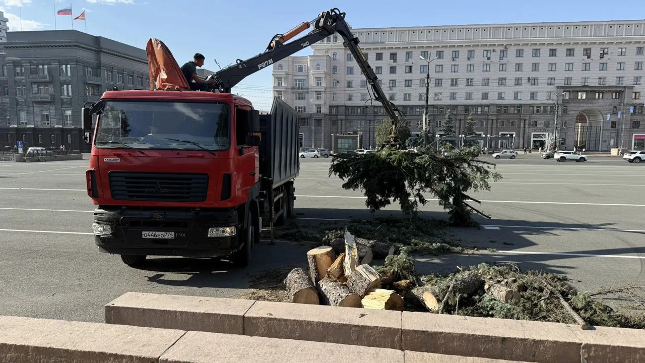 Вырывал с корнем деревья и сносил крыши: на Южный Урал обрушился ураган Вырывал с корнем деревья и сносил крыши: на Южный Урал обрушился ураган