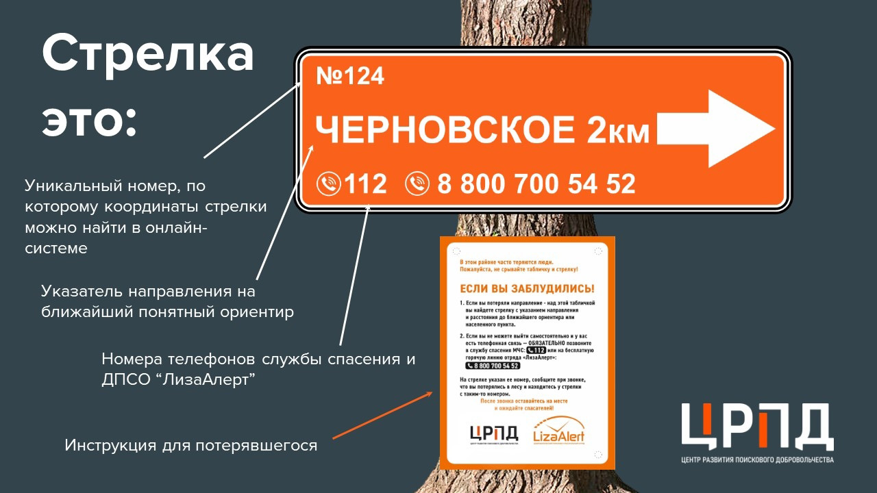 В лесах Челябинской области установят указатели для заблудившихся В лесах Челябинской области установят указатели для заблудившихся
