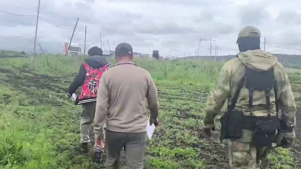 Полицейские нашли нелегальных мигрантов в теплицах под Челябинском Полицейские нашли нелегальных мигрантов в теплицах под Челябинском