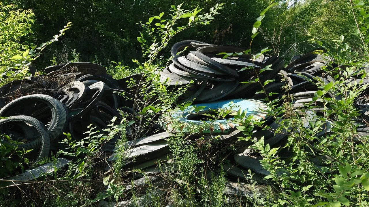 Стихийная свалка у дома: жителям Челябинска рассказали, куда жаловаться