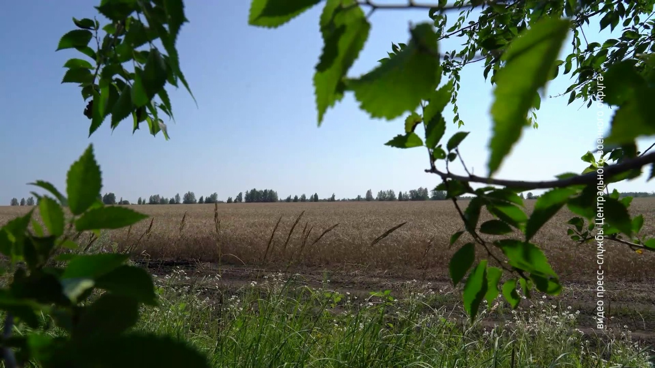 Спецназ Центрального военного округа учится управлять дронами Спецназ Центрального военного округа учится управлять дронами