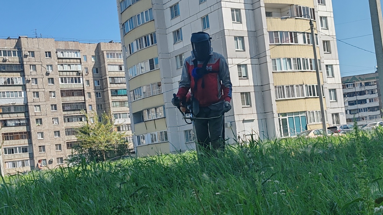Во дворе – трава: как справляются с лишней растительностью в Магнитогорске