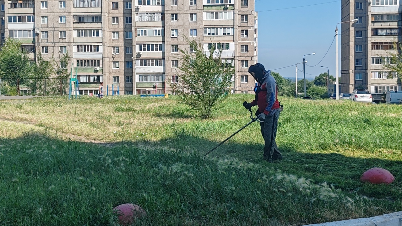 Во дворе – трава: как справляются с лишней растительностью в Магнитогорске&nbsp;&nbsp;&nbsp;&nbsp;&nbsp;