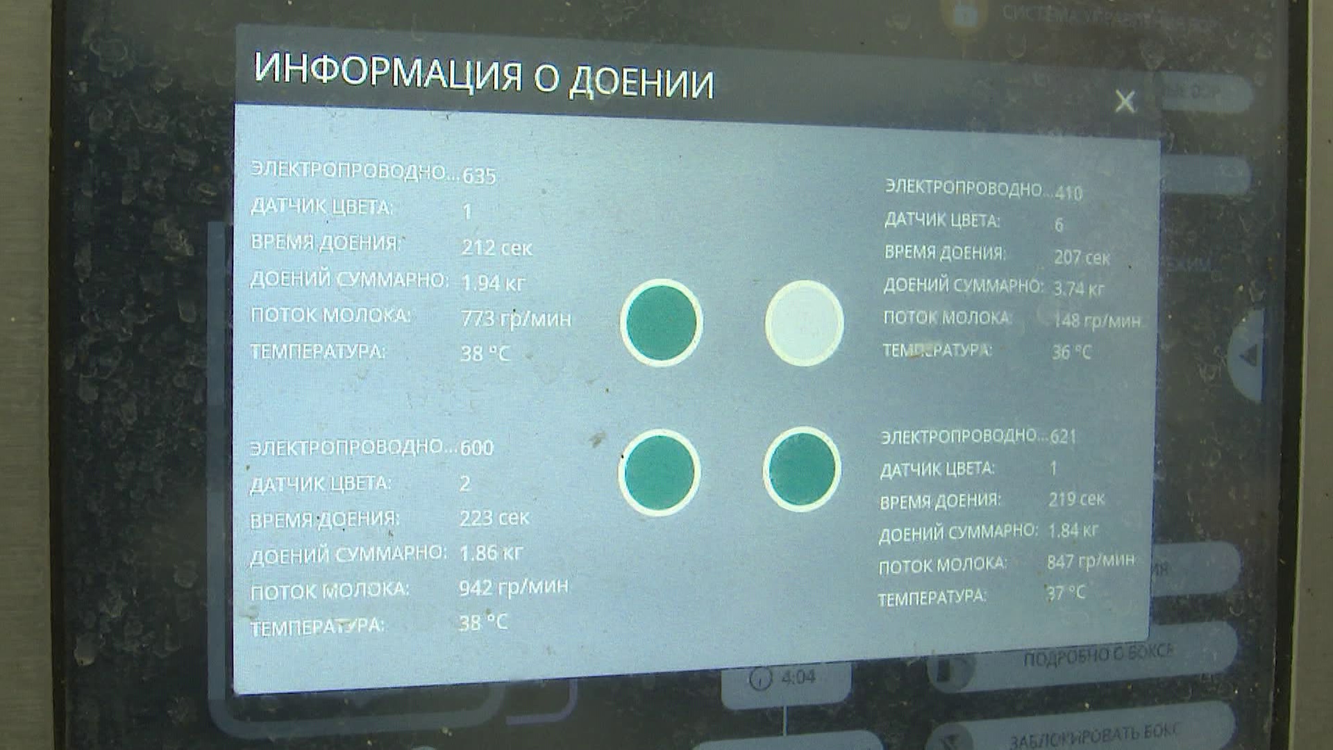 Ферма нового времени: роботы помогают доить коров в Челябинской области Ферма нового времени: роботы помогают доить коров в Челябинской области