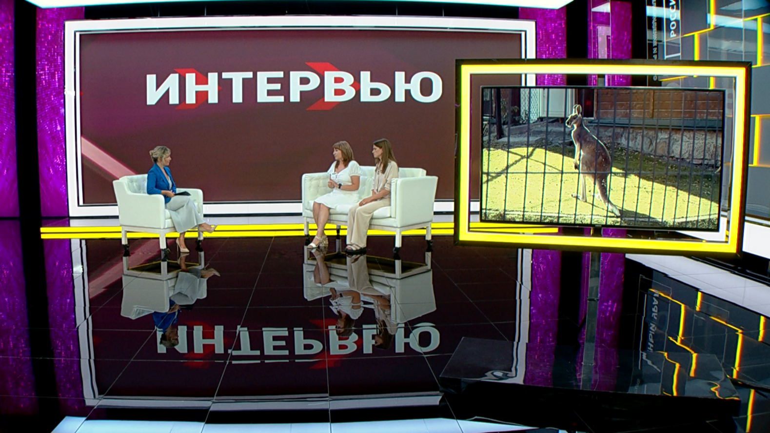 Милые истории и серьезные планы: как живет и меняется зоопарк Челябинска Милые истории и серьезные планы: как живет и меняется зоопарк Челябинска