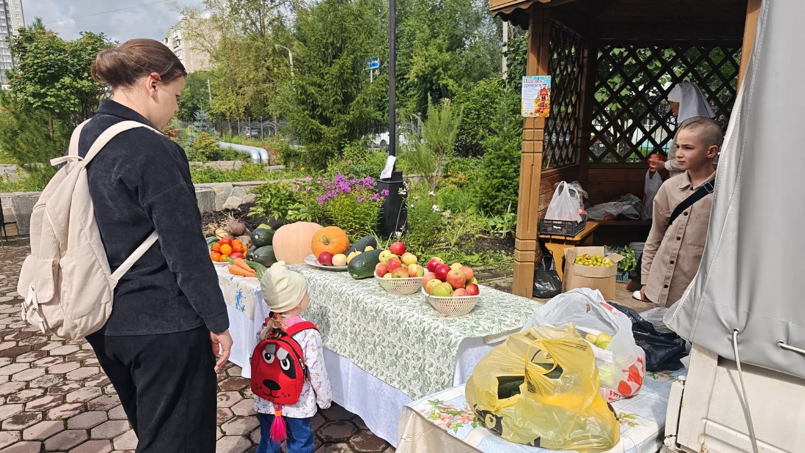 Яблоки и кабачки для всех желающих: в Челябинске прошла акция "Поделись урожаем" Яблоки и кабачки для всех желающих: в Челябинске прошла акция "Поделись урожаем"