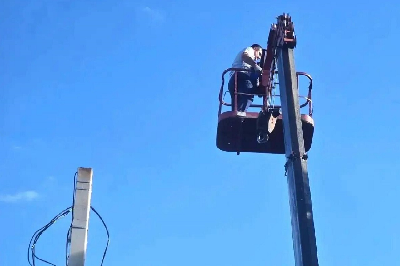 Сотрудник ГАИ спас застрявшую на дереве кошку в Троицке