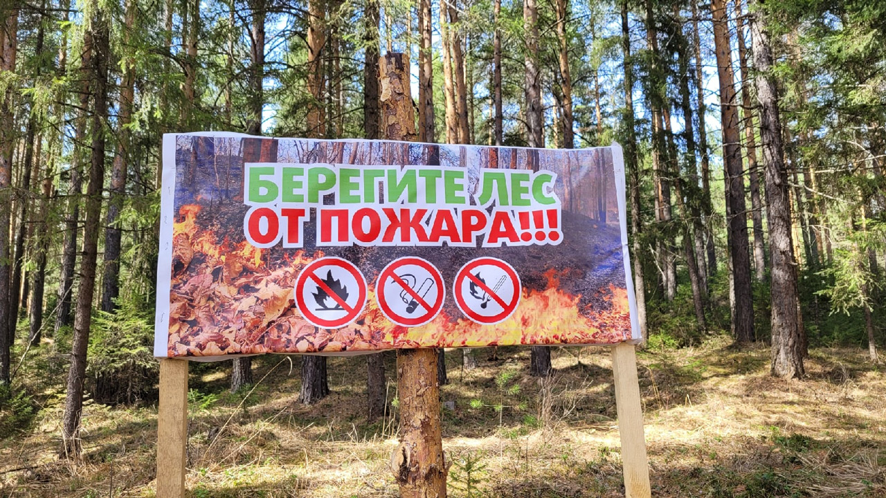 Высокую пожарную опасность прогнозируют в Челябинской области