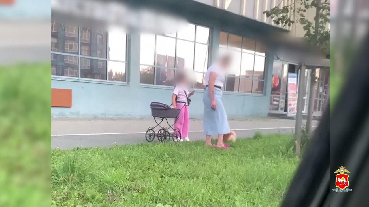 В Челябинской области женщина делала закладки на глазах у ребенка